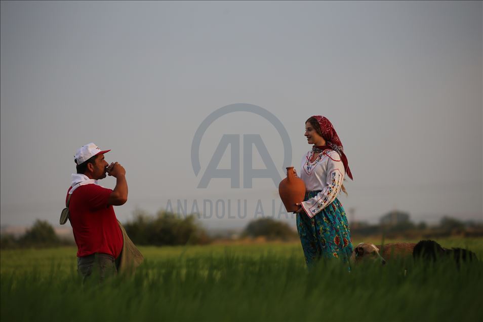 Edirne'de çeltik tarlası fotoğrafçılara doğal stüdyo oldu