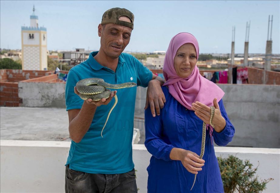 يحمل التونسي، بشير البجاوي، مشبكا