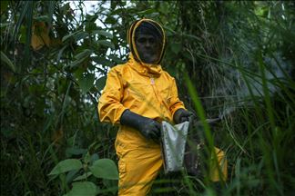 La apicultura, clave para la seguridad alimentaria de Colombia durante la pandemia por la COVID-19