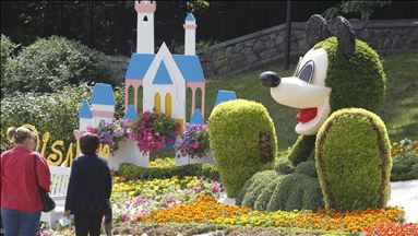 Exhibition of flowers "Mult-Land" in Kiev