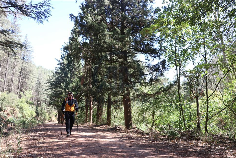 صعد المواطن التركي أرداك جنّات، ال