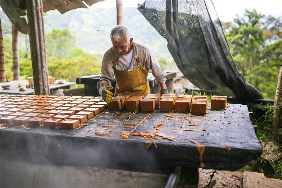 Elaboración de panela, una forma de vida durante la pandemia por COVID-19 en Colombia