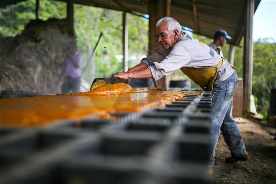 Elaboración de panela, una forma de vida durante la pandemia por COVID-19 en Colombia