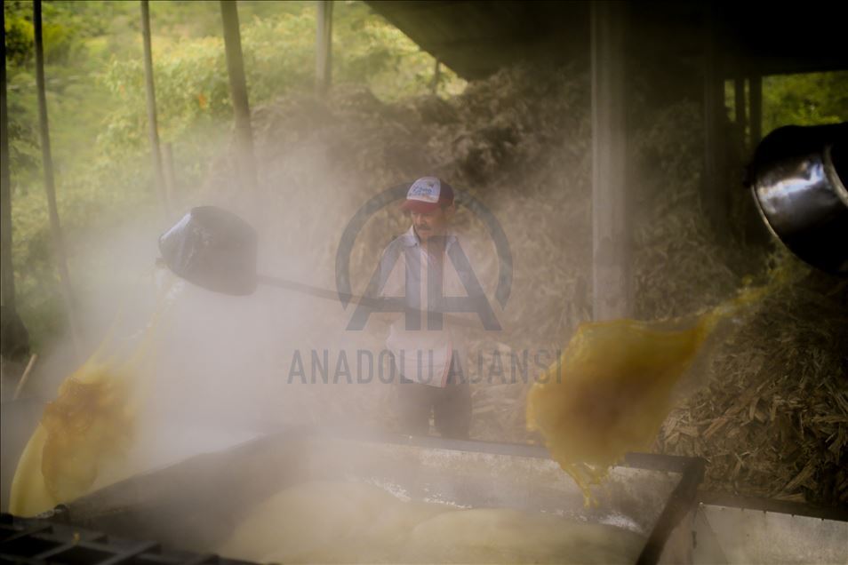 Elaboración de panela, una forma de vida durante la pandemia por COVID-19 en Colombia