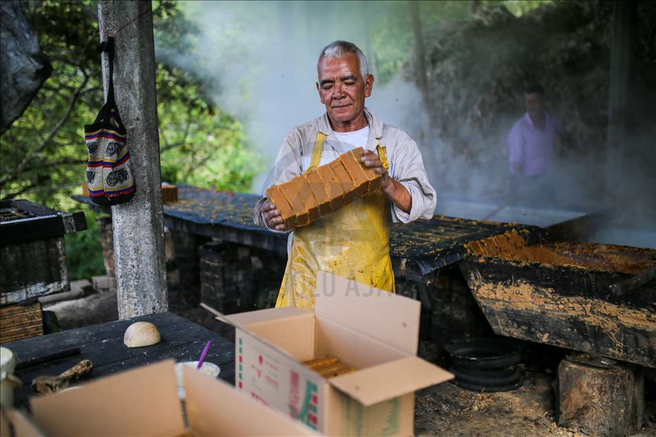 Elaboración de panela, una forma de vida durante la pandemia por COVID-19 en Colombia