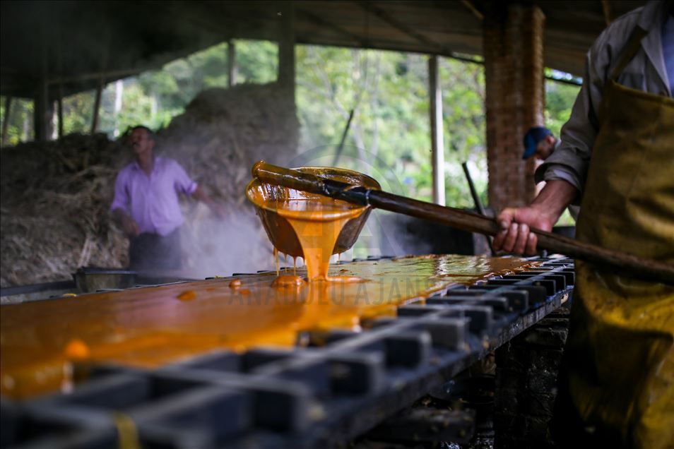 Elaboración de panela, una forma de vida durante la pandemia por COVID-19 en Colombia
