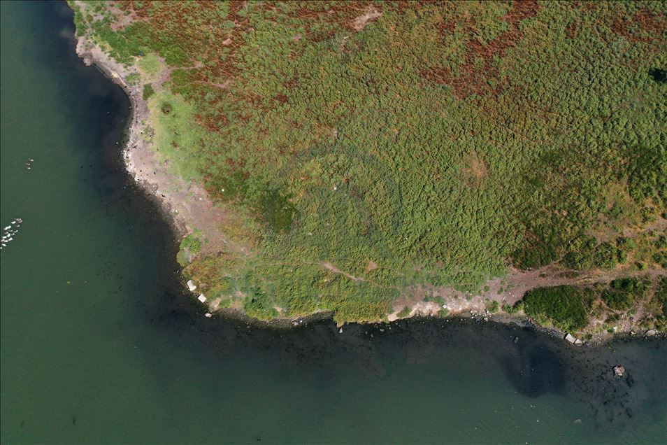 Haliç'te suyun renginin değişmesi