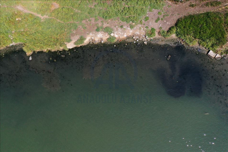 Haliç'te suyun renginin değişmesi