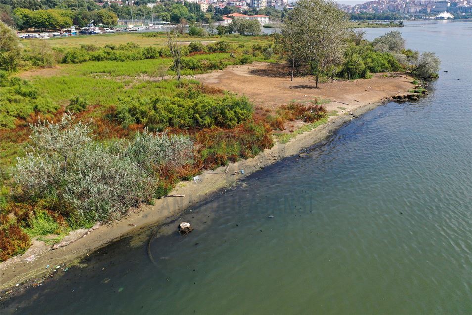 Haliç'te suyun renginin değişmesi