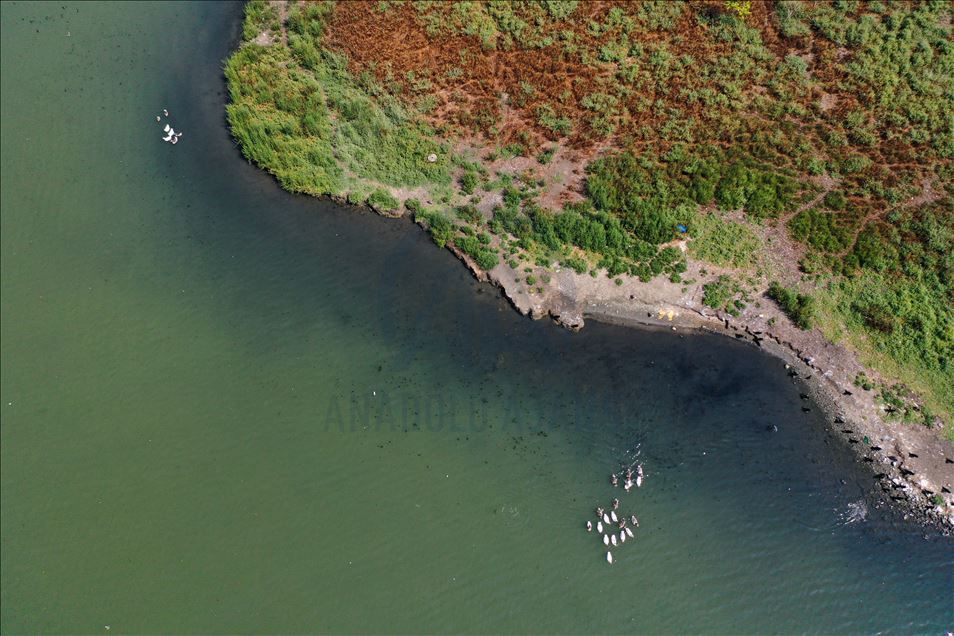 Haliç'te suyun renginin değişmesi