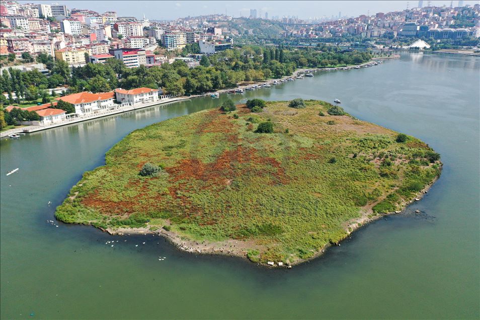 Haliç'te suyun renginin değişmesi