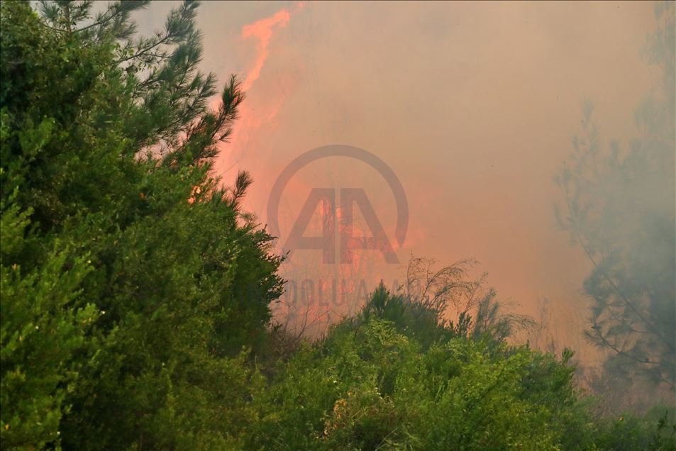 Adana'daki orman yangınına havadan müdahale tekrar başladı
