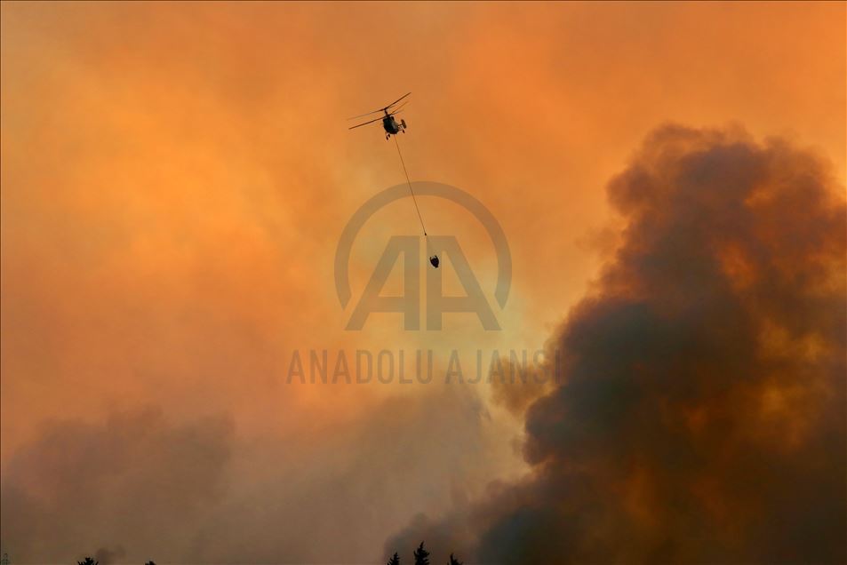 Adana'daki orman yangınına havadan müdahale tekrar başladı
