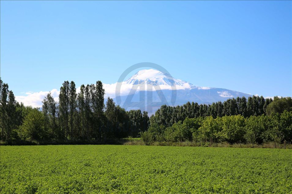 هطلت حبات الثلج الأولى على جبل آغري