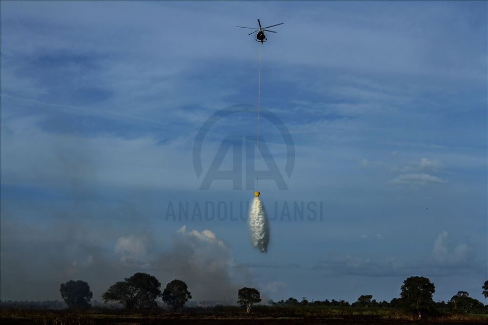 Kebakaran lahan gambut di Ogan Ilir, Palembang