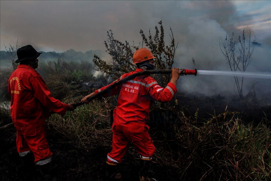 Kebakaran lahan gambut di Ogan Ilir, Palembang