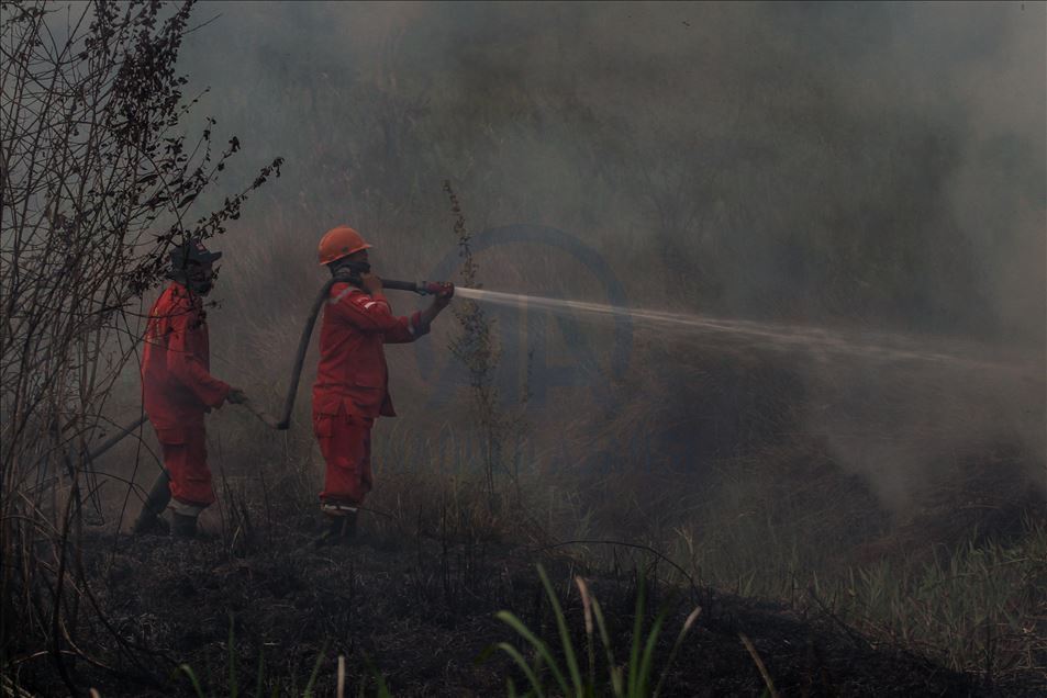 Kebakaran lahan gambut di Ogan Ilir, Palembang