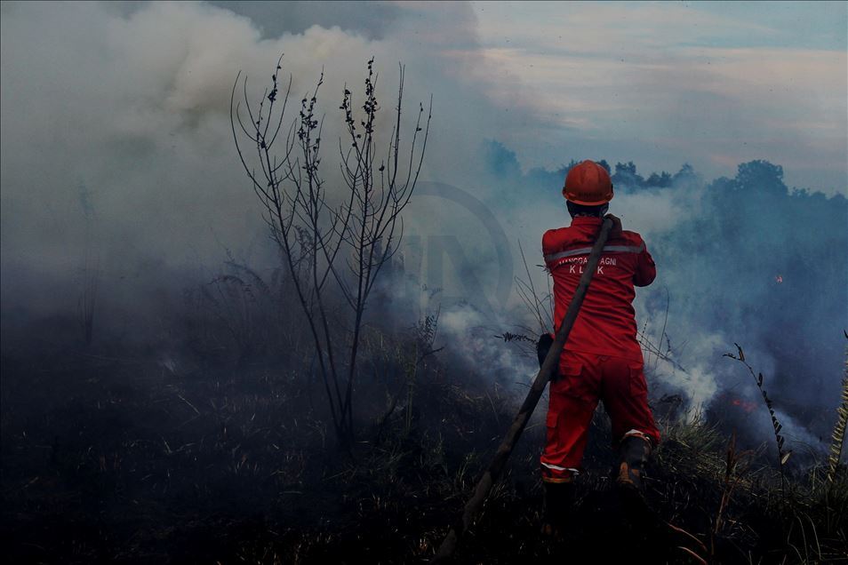 Kebakaran lahan gambut di Ogan Ilir, Palembang