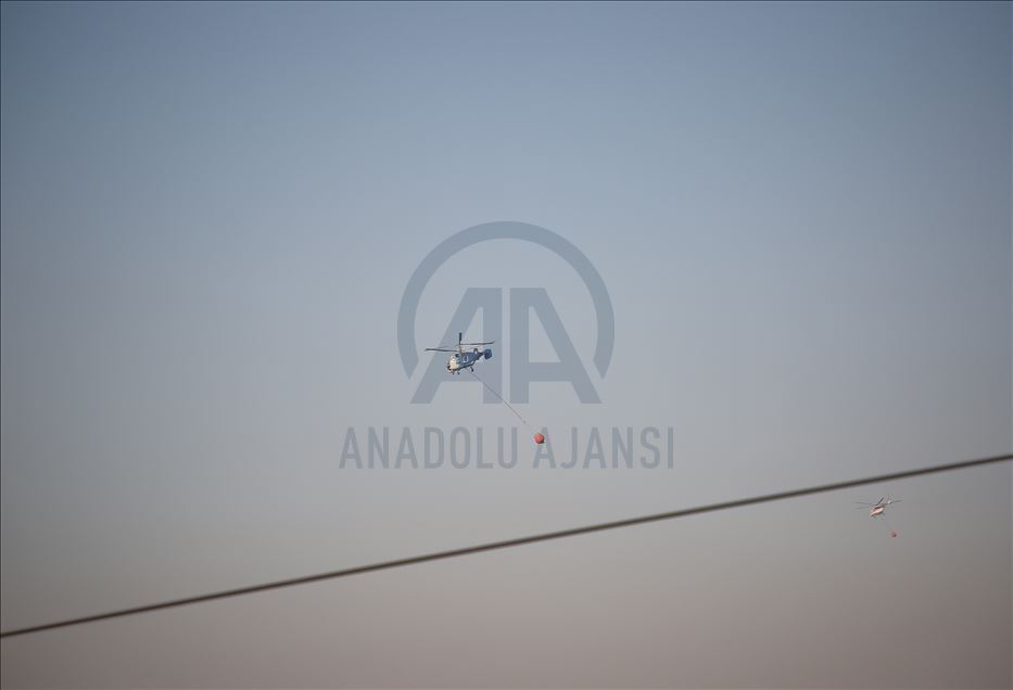 Adana'daki orman yangınına havadan müdahale tekrar başladı