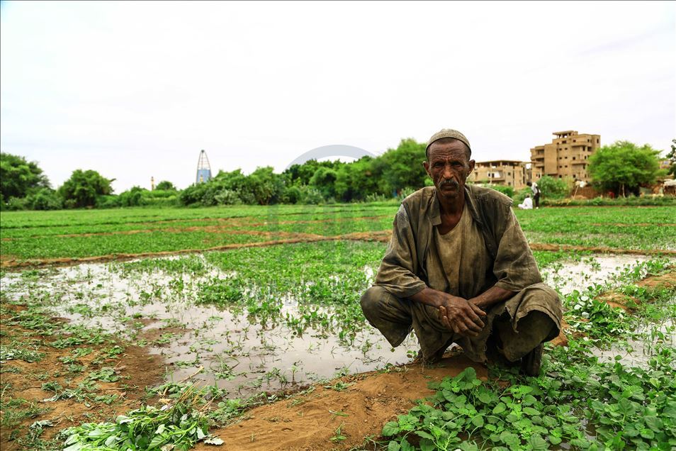 يأتي قدوم فصل الخريف في السودان، لت