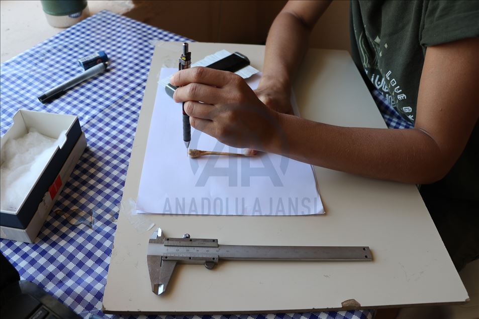 Encuentran en Turquía aguja de coser hecha con hueso de 8600 años de antigüedad