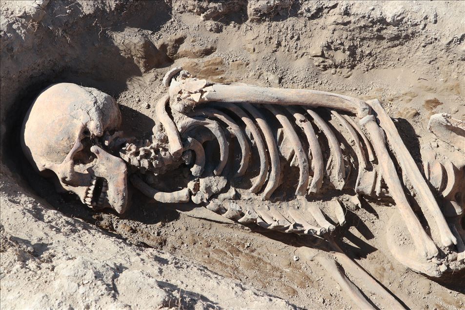 Encuentran en Turquía aguja de coser hecha con hueso de 8600 años de antigüedad