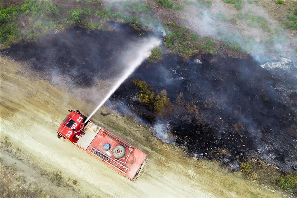 Adana'daki orman yangınına müdahale sürüyor
