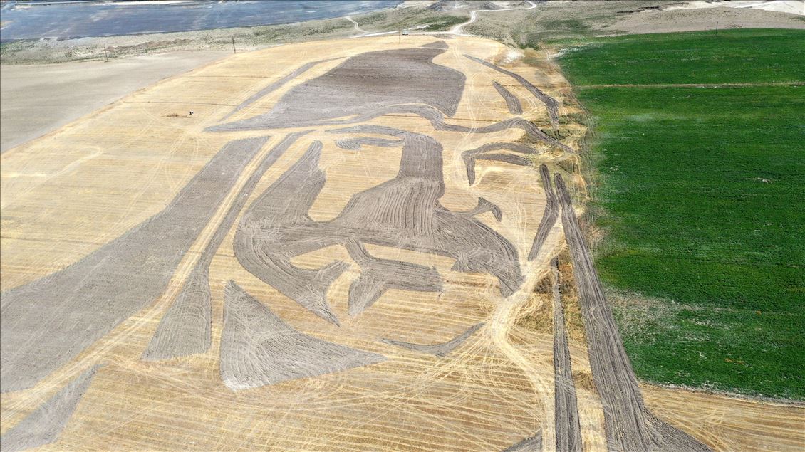 Portrait of Sultan Alparslan drawn into field in Turkey's Mus