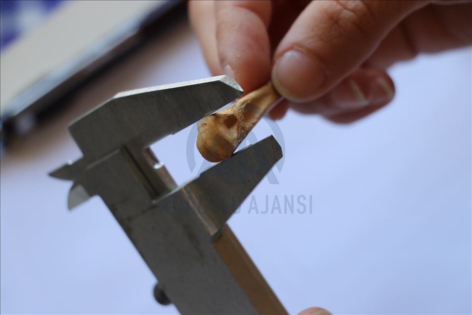 Encuentran en Turquía aguja de coser hecha con hueso de 8600 años de antigüedad