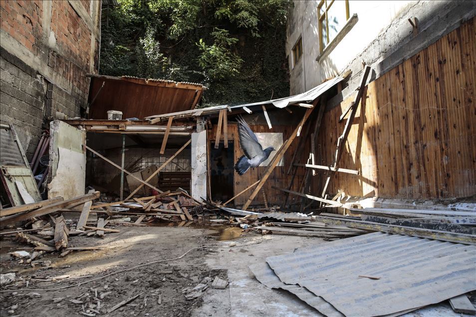 Giresun'un Dereli ilçesindeki sel felaketi 