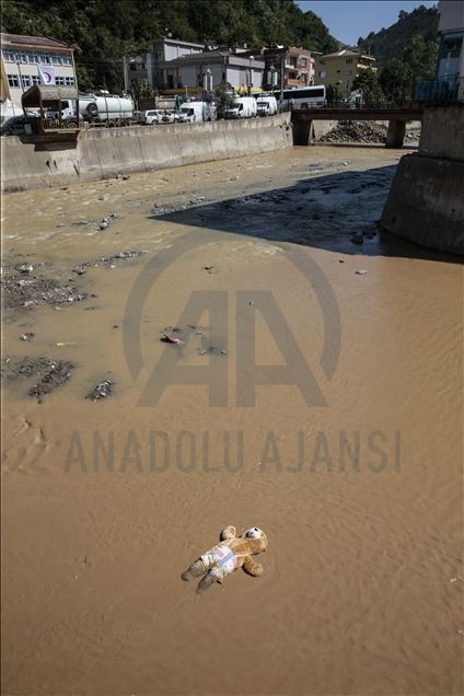 Giresun'un Dereli ilçesindeki sel felaketi 