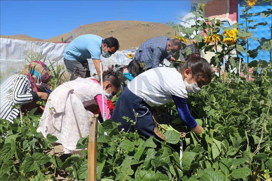 Öğretmen çift, oluşturdukları bostanla okulun ihtiyaçlarını gideriyor
