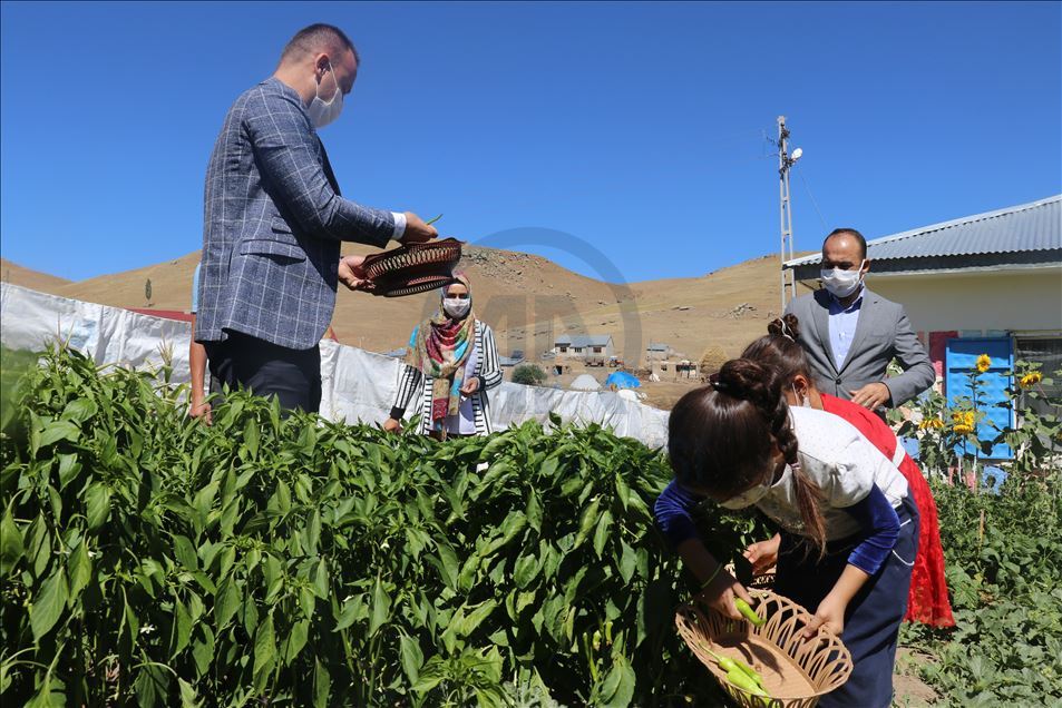 Öğretmen çift, oluşturdukları bostanla okulun ihtiyaçlarını gideriyor
