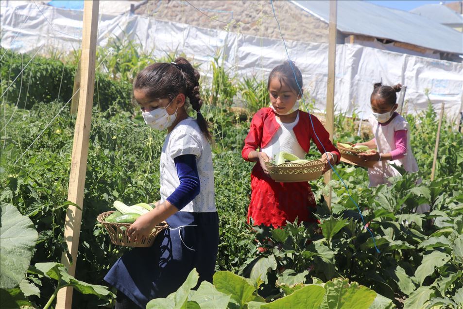 Öğretmen çift, oluşturdukları bostanla okulun ihtiyaçlarını gideriyor
