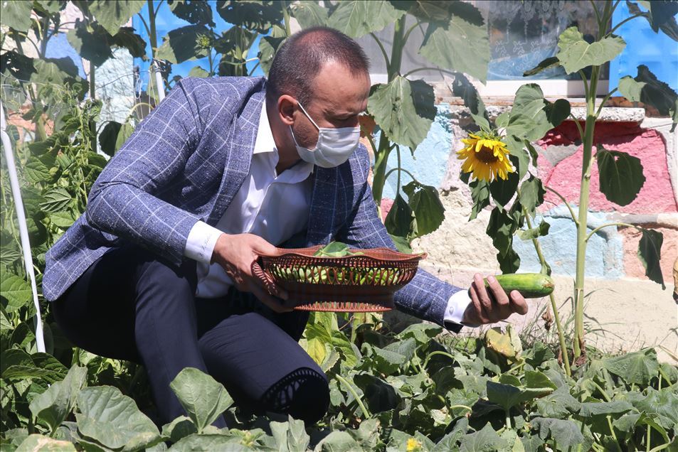 Öğretmen çift, oluşturdukları bostanla okulun ihtiyaçlarını gideriyor
