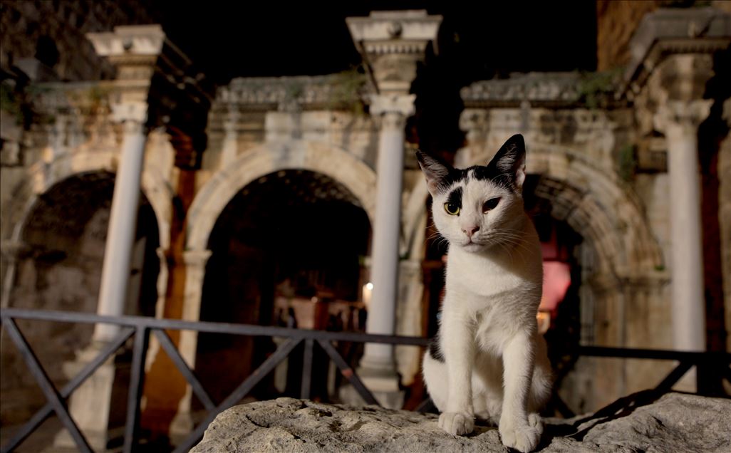 "Huzur ve barış" kenti: Antalya