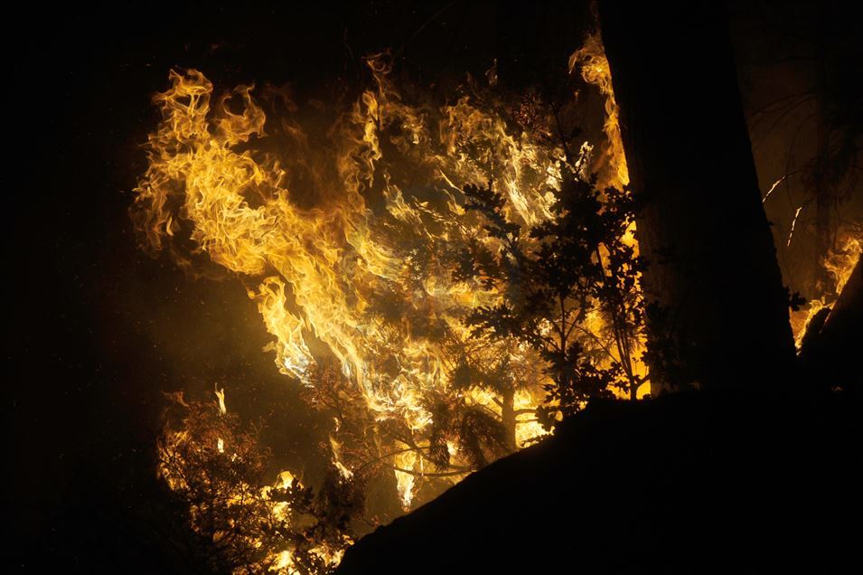 Incendio forestal en Fresno, California