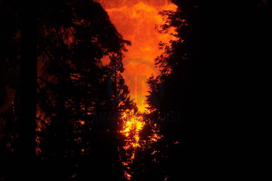 Incendio forestal en Fresno, California