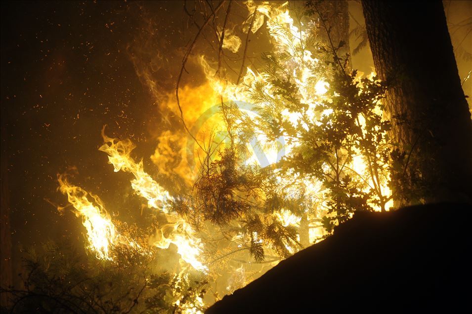  В округе Фресно, штат Калифорния, бушуют лесные пожары.