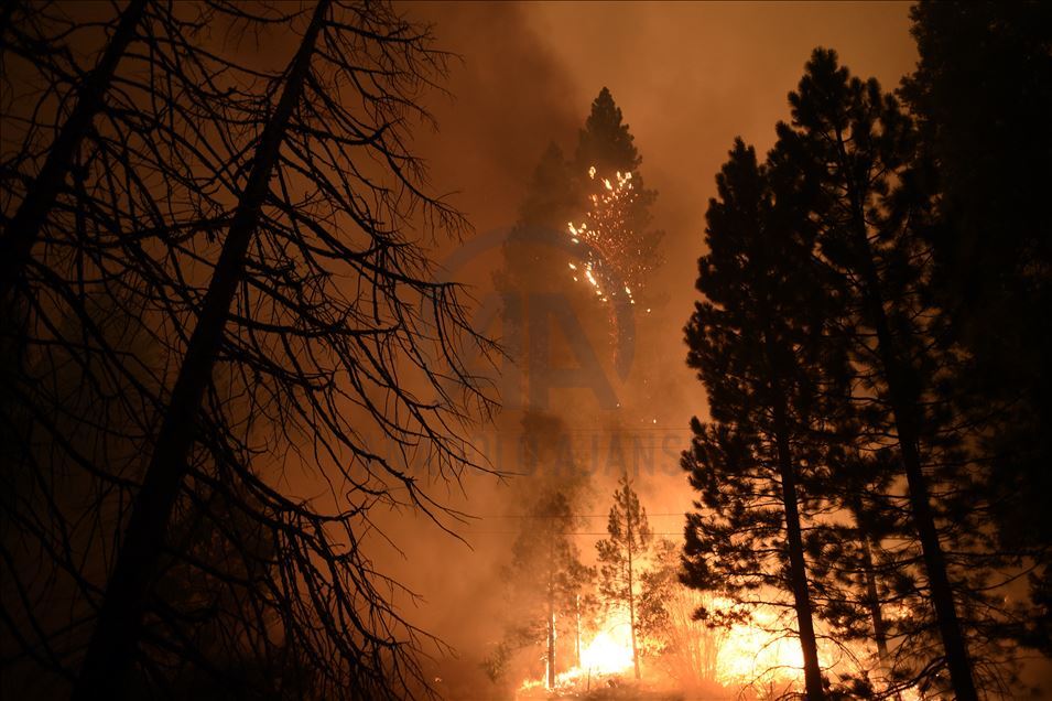  В округе Фресно, штат Калифорния, бушуют лесные пожары.