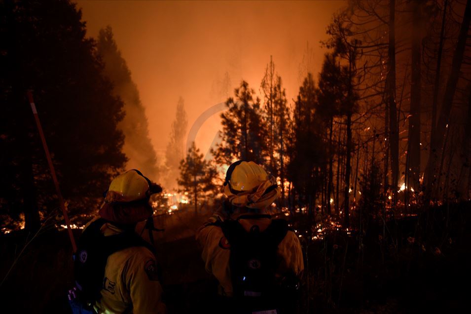 Incendio forestal en Fresno, California