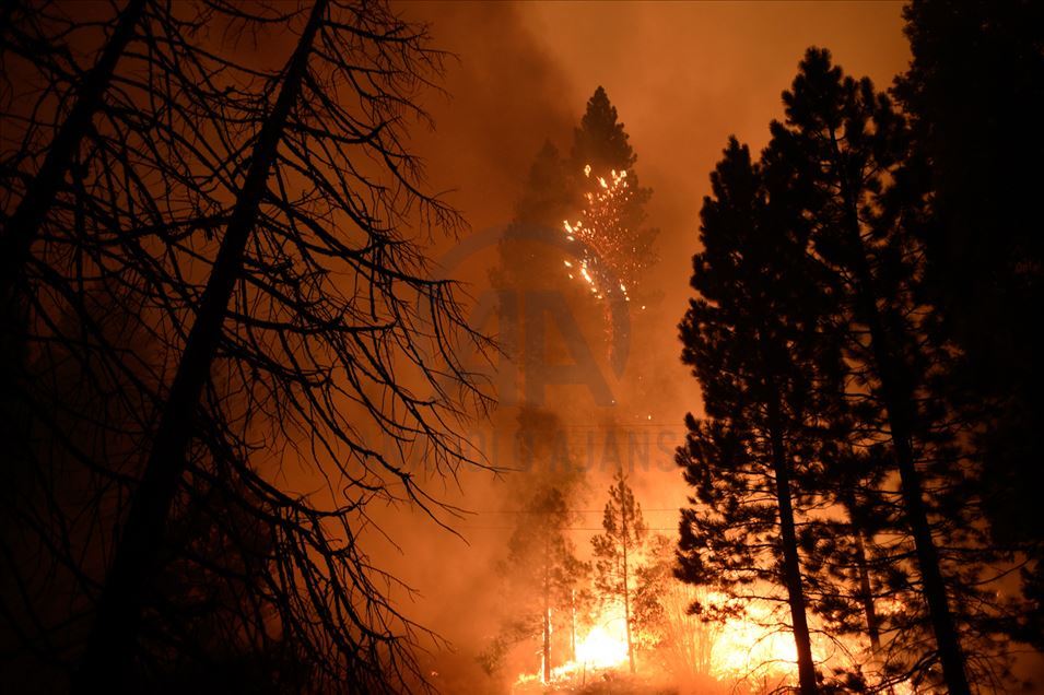 Incendio forestal en Fresno, California