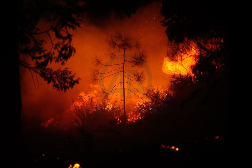Incendio forestal en Fresno, California