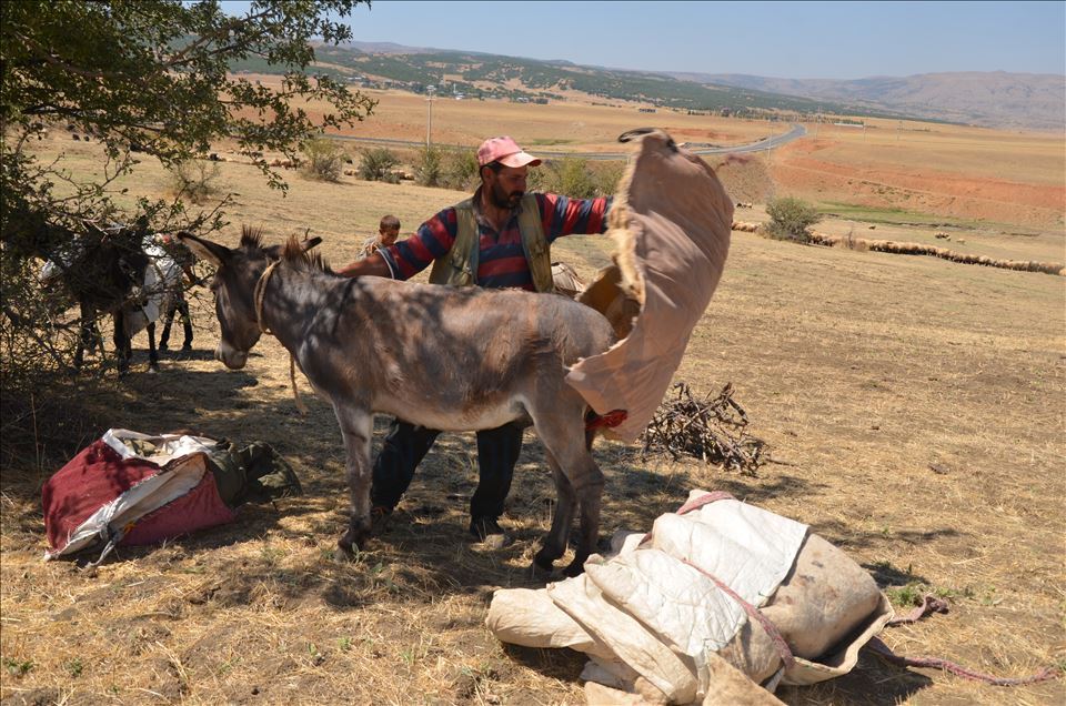Li Mûşê koçeran dest bi dagêrê kir