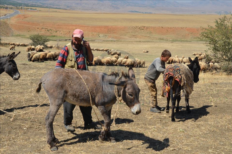 Li Mûşê koçeran dest bi dagêrê kir