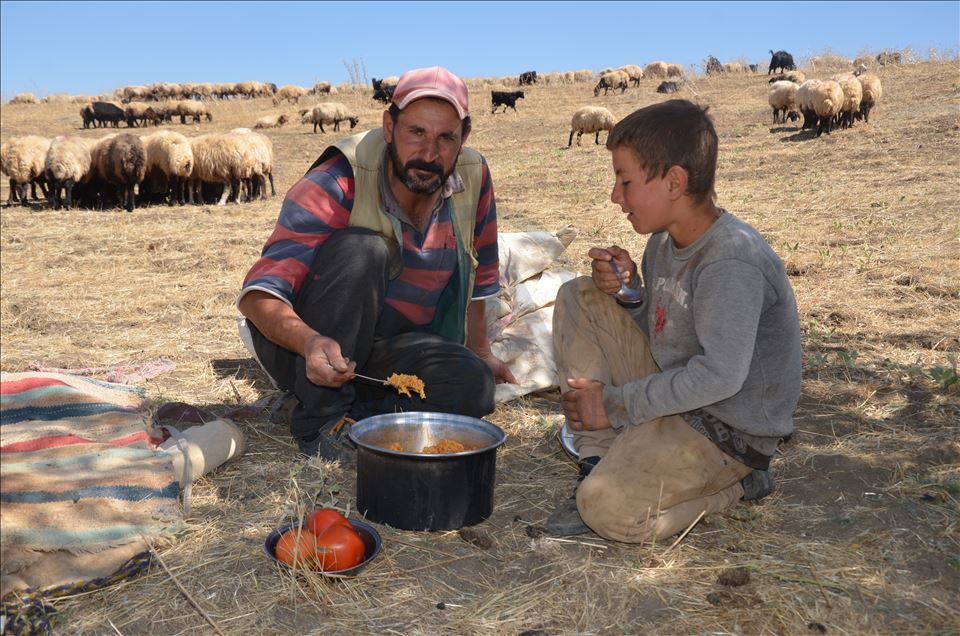 Li Mûşê koçeran dest bi dagêrê kir
