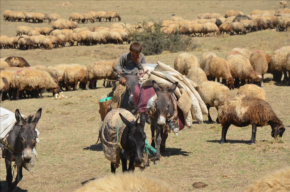 Li Mûşê koçeran dest bi dagêrê kir