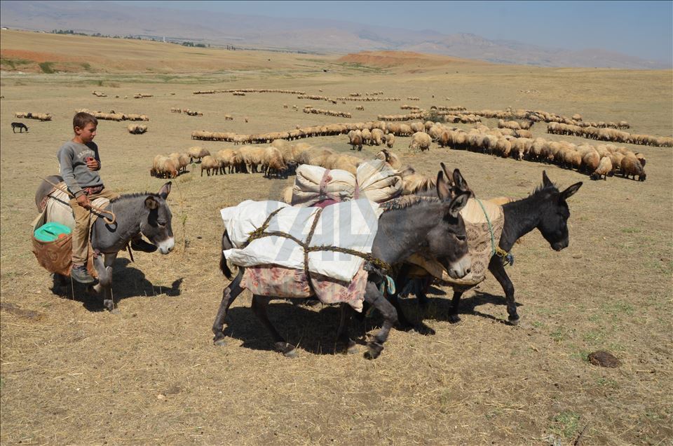 Li Mûşê koçeran dest bi dagêrê kir
