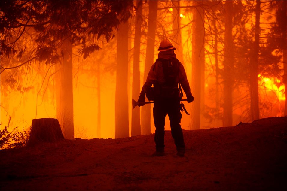 Kaliforniya'nın Fresno bölgesinde yangın