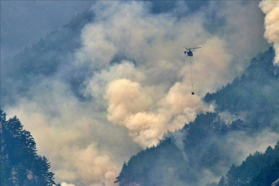 Adana'daki orman yangınını söndürme çalışmaları devam ediyor